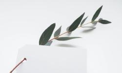 Featured image of post 相册